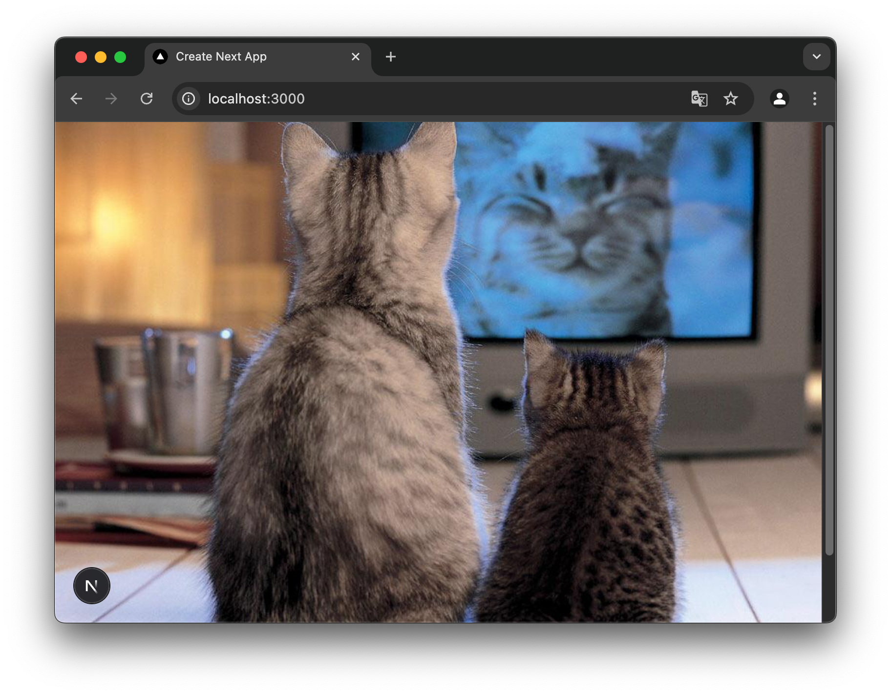 Next.jsアプリでページを表示した直後のブラウザ画面。実装したCatImageコンポーネントにより、テレビを見つめる2匹の猫の写真が全面に表示されている